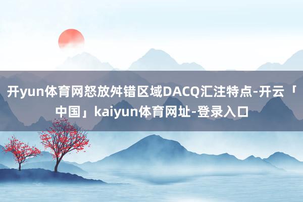 开yun体育网怒放舛错区域DACQ汇注特点-开云「中国」kaiyun体育网址-登录入口