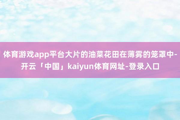 体育游戏app平台大片的油菜花田在薄雾的笼罩中-开云「中国」kaiyun体育网址-登录入口
