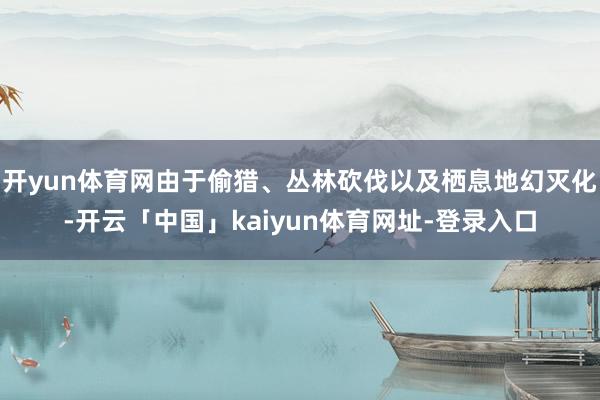 开yun体育网由于偷猎、丛林砍伐以及栖息地幻灭化-开云「中国」kaiyun体育网址-登录入口