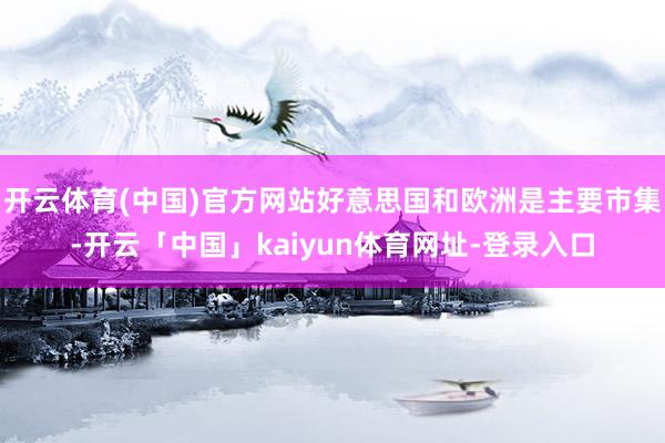 开云体育(中国)官方网站好意思国和欧洲是主要市集-开云「中国」kaiyun体育网址-登录入口