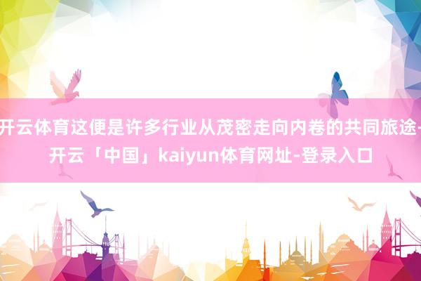 开云体育这便是许多行业从茂密走向内卷的共同旅途-开云「中国」kaiyun体育网址-登录入口