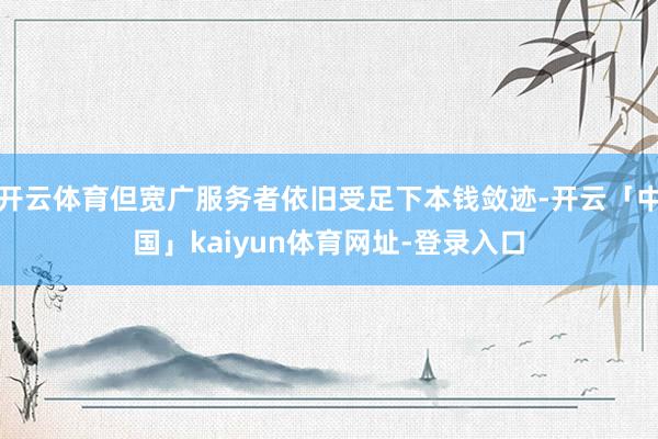 开云体育但宽广服务者依旧受足下本钱敛迹-开云「中国」kaiyun体育网址-登录入口