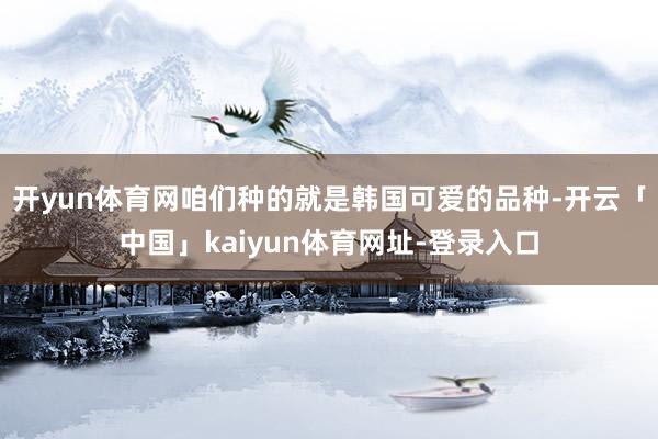 开yun体育网咱们种的就是韩国可爱的品种-开云「中国」kaiyun体育网址-登录入口