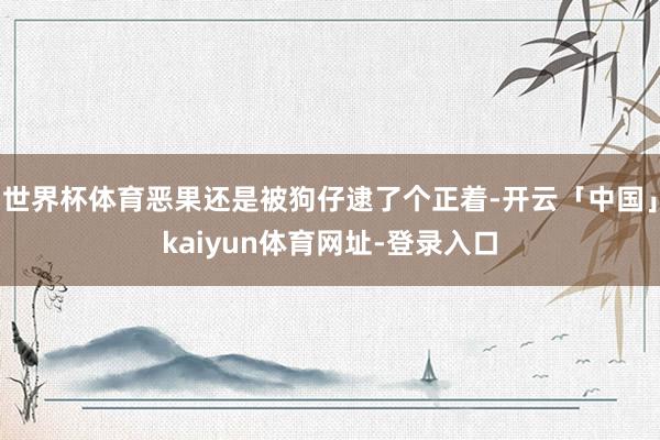 世界杯体育恶果还是被狗仔逮了个正着-开云「中国」kaiyun体育网址-登录入口