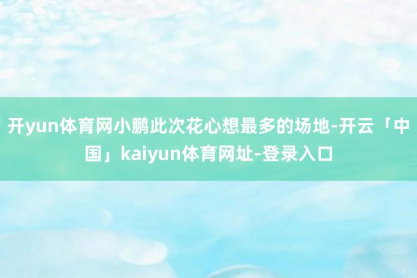 开yun体育网小鹏此次花心想最多的场地-开云「中国」kaiyun体育网址-登录入口