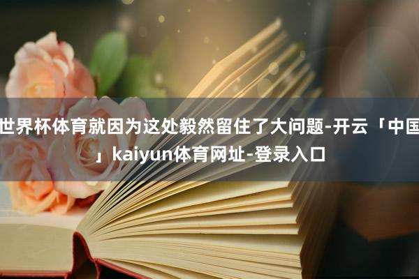 世界杯体育就因为这处毅然留住了大问题-开云「中国」kaiyun体育网址-登录入口