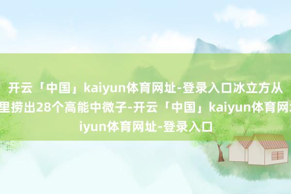 开云「中国」kaiyun体育网址-登录入口冰立方从两年的数据里捞出28个高能中微子-开云「中国」kaiyun体育网址-登录入口
