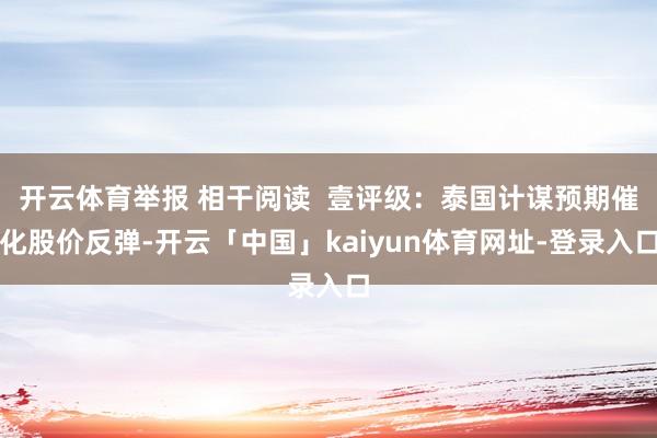 开云体育举报 相干阅读  壹评级：泰国计谋预期催化股价反弹-开云「中国」kaiyun体育网址-登录入口