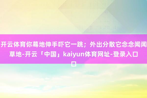 开云体育你蓦地伸手吓它一跳；外出分散它念念闻闻草地-开云「中国」kaiyun体育网址-登录入口
